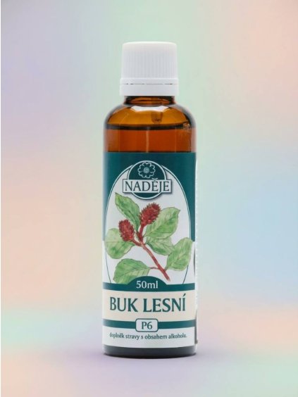 BUK LESNÍ