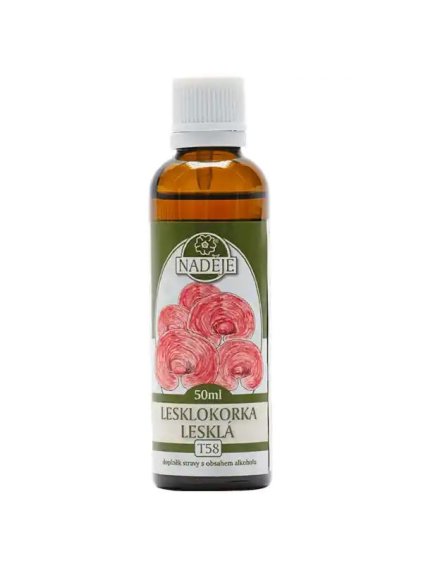lesklokorka T58