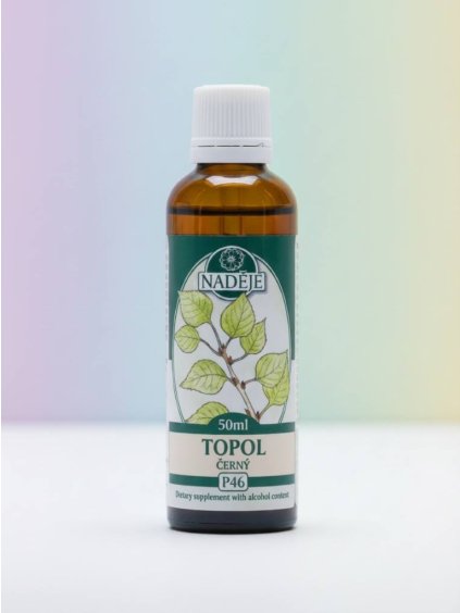 TOPOL ČERNÝ