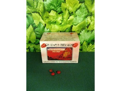 210 epam caj na cevy a cholesterol 20x2 g ns