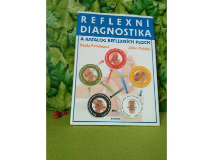 Kniha Reflexní terapie
