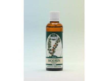 MODŘÍN OPADAVÝ