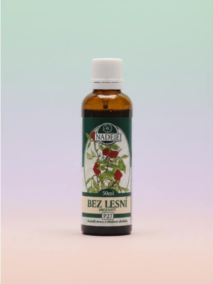 BEZ LESNÍ HROZNATÝ