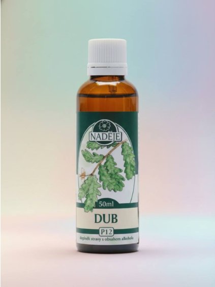 DUB LETNÍ