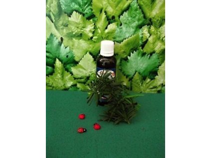 483 ostruzinik tinktura z pupenu 50 ml gemmoterapie