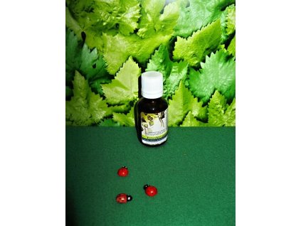 Bříza Tinktura z pupenů Normální trávení a detoxikace, normální stav kloubů, močových cest a ledvin