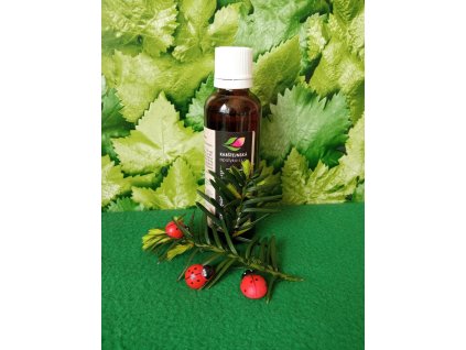 Aronie tinktura z pupenů Gemmoterapie na metabolismus