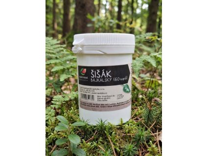 šišák 60