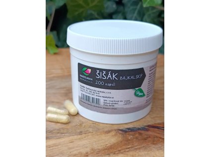 Šišák bajkalský na klouby a pohodu