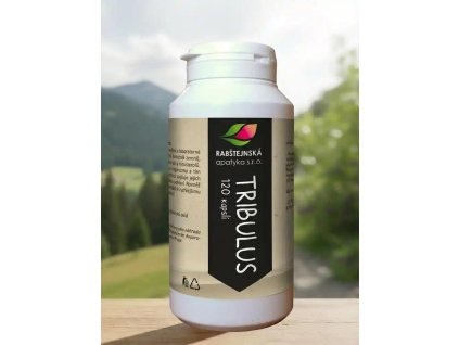 Tribulus kotvičník