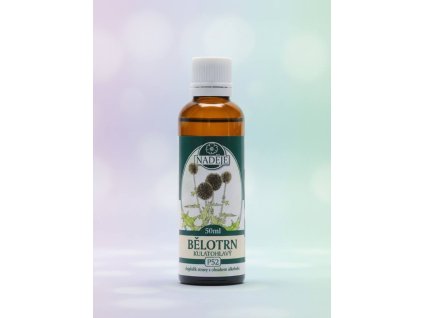 BĚLOTRN KULATOHLAVÝ