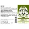 Lopuch