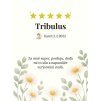 Recenze zákazníka Tribulus 2