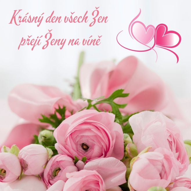 #zenynavinejsouznacka #winewife