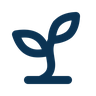 Kosenie