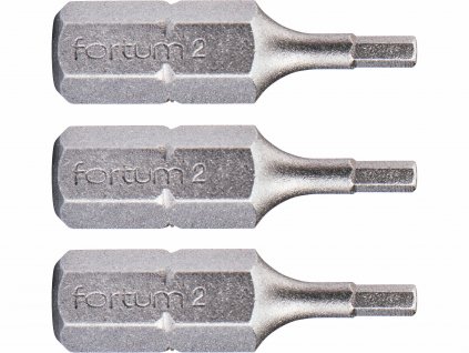 FORTUM 4741502 Bit imbus 3ks, H 2x25mm