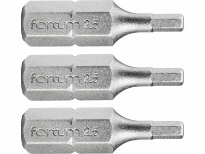 FORTUM 4741503 Bit imbus 3ks, H 2,5x25mm