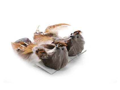 Vtáčatká so štipcom MagicHome, hnedé, pár, 15x5x5 cm