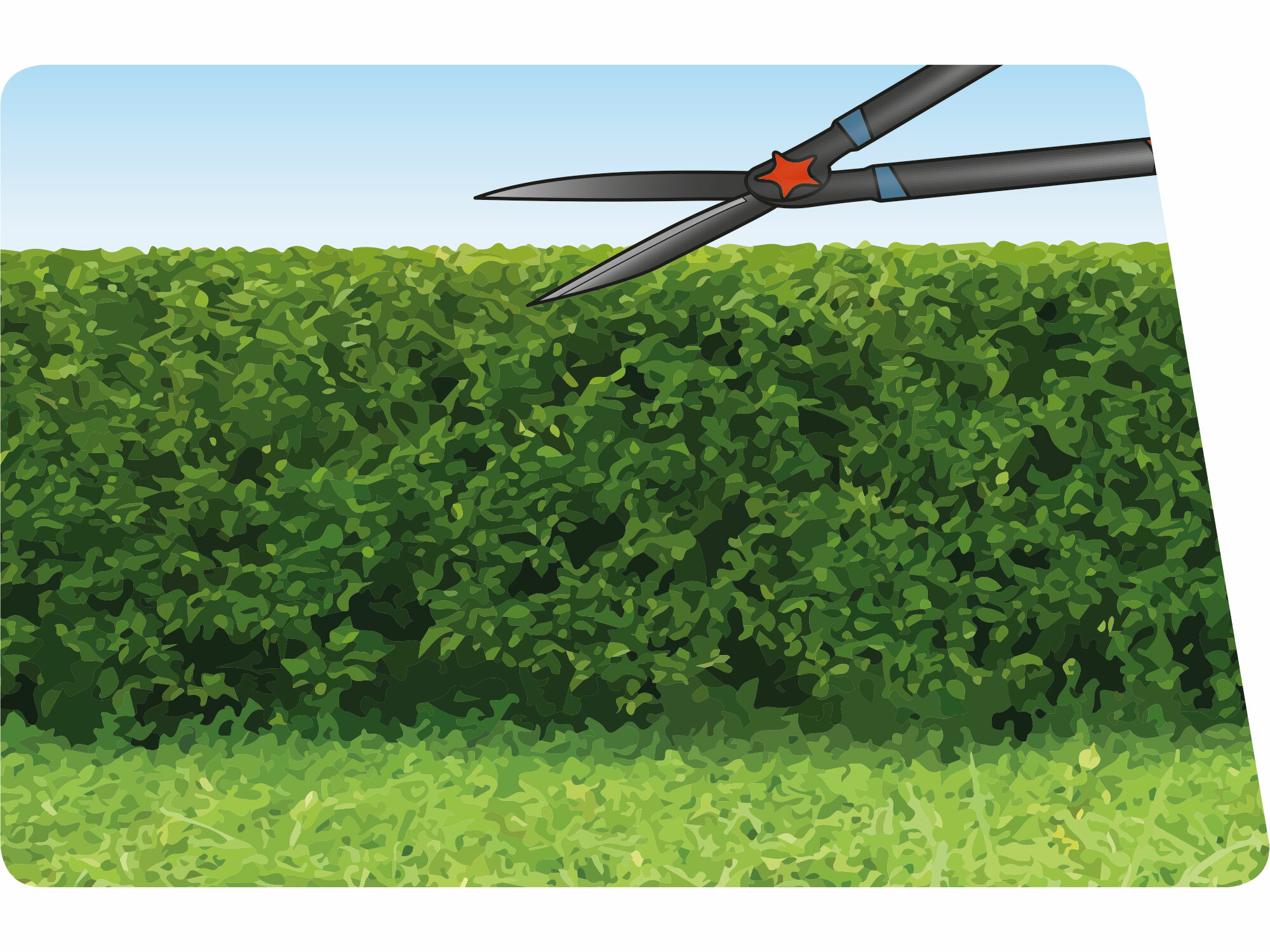 EXTOL PREMIUM 8873711 Nožnice na živý plot 630mm