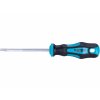 EXTOL PREMIUM 8819247 Skrutkovač TORX, magnetický, T25x100mm