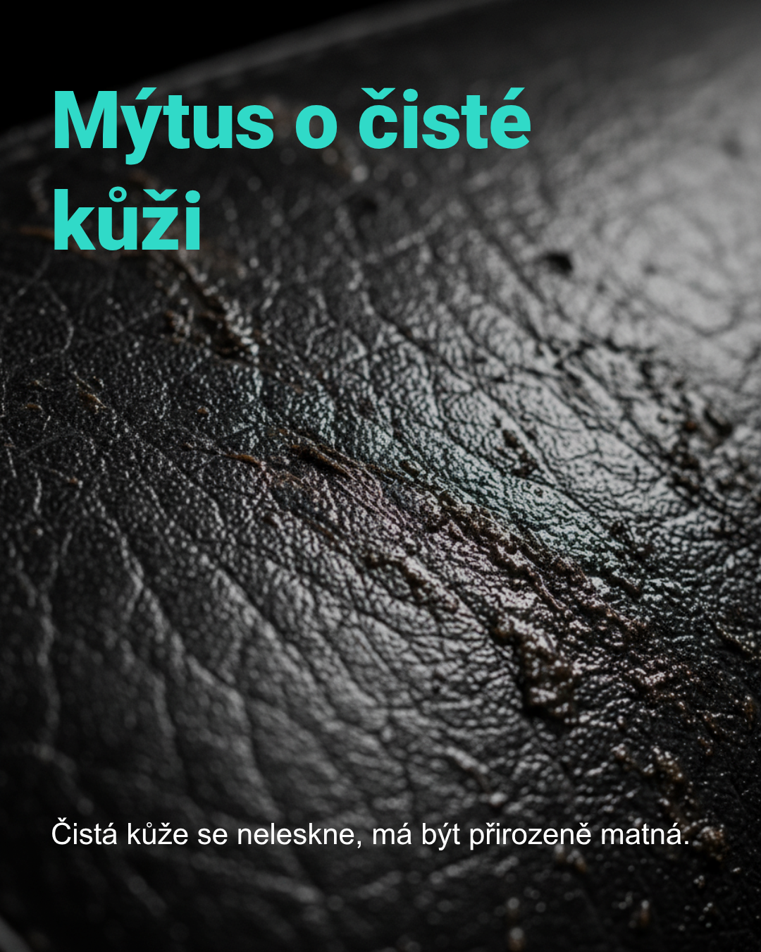 The_Myth_of_Leather_Shine_version_1