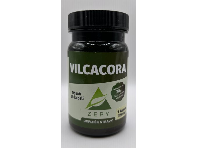 ZEPY  VILCACORA