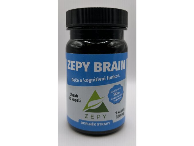 ZEPY BRAIN