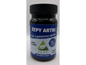 ZEPY ARTRI
