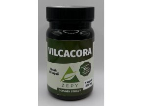 ZEPY  VILCACORA