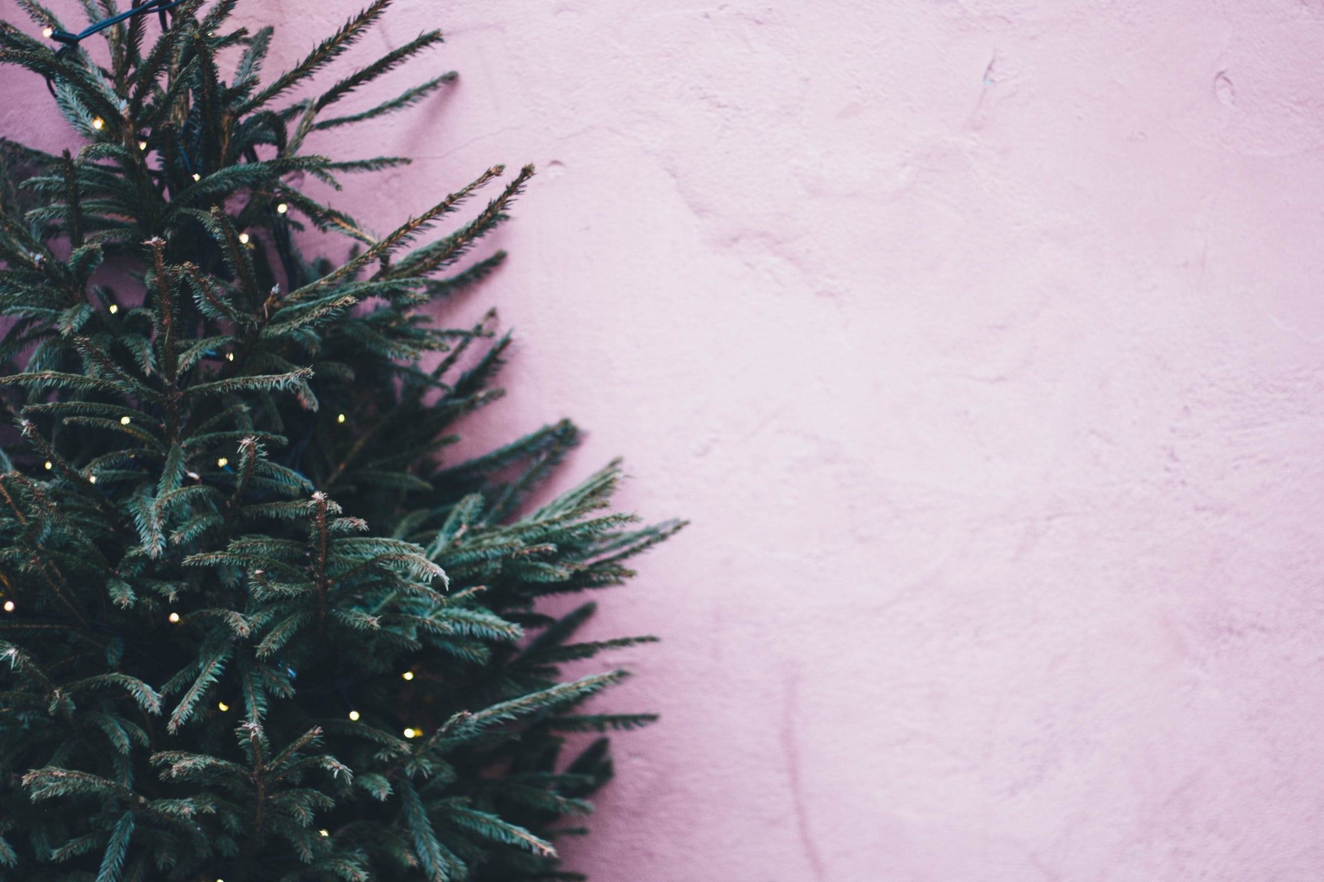 8 tipů na to, jak si užít ekologické Vánoce bez odpadu a beze stresu