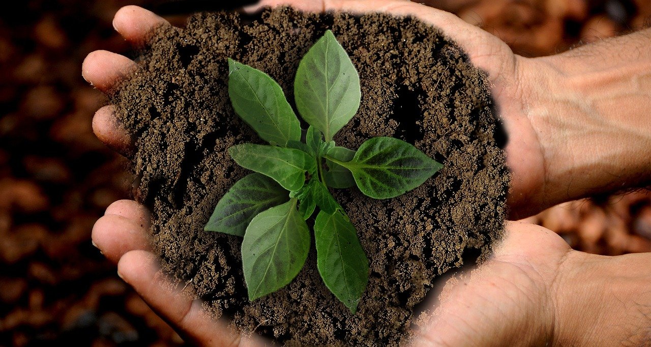 Má moje snaha o zero waste smysl? Není to jen kapka v moři?