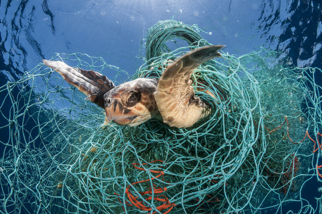 Zdroj plastu v oceánu, o kterém nikdo nemluví: průmyslové rybaření