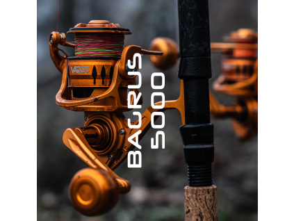 VAGNER BAGRUS 5000 (Varianta 0.95 kg)