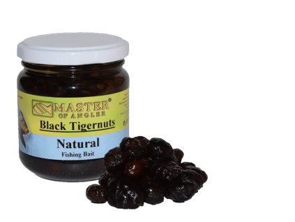 aa10000101 a2e181a973018c98196066d66489571d