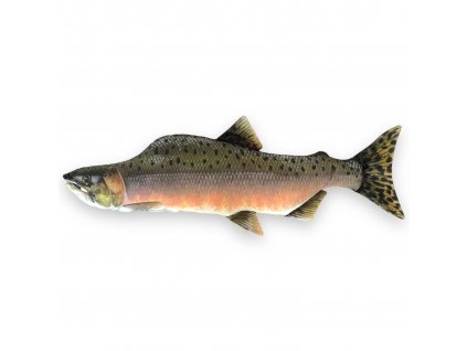 BCV011 1