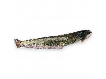 Polštář BeCare Sumec (Varianta Polštář Sumec M 35 cm)