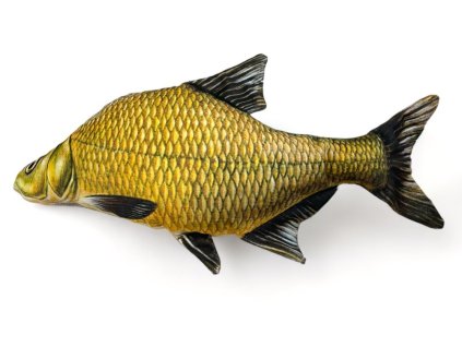 BCV021 1