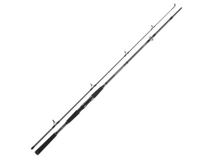 daiwa prut seahunter x 2 4 m 100 200 g