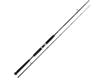 prut shimano beast master ax pilk 240m 100 200g