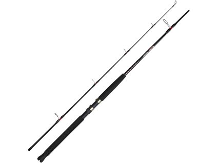 SHAKESPEARE-UGLY STIK-UGLY BIGWATER --2,12m    200-600g   30-50lb  NA MOŘE I SUMCE