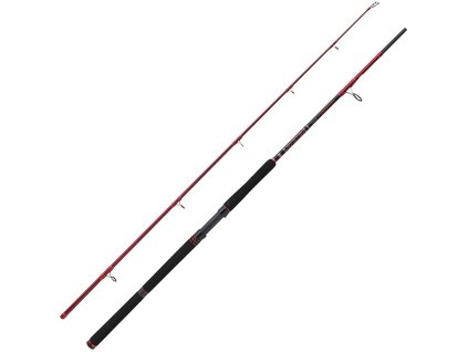 Squadron III Catfish Allround 2,70 m 100-300 g