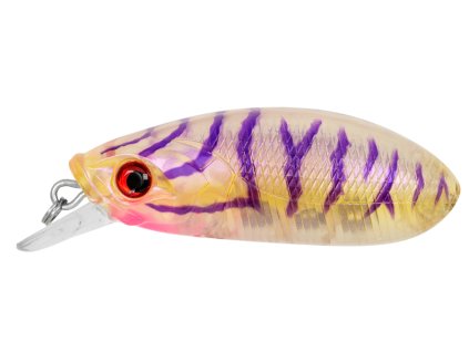 cgld000101 4799817779bc184a8dbb2d6691fb00d4