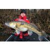 WESTIN MAGIC MINNOW - RYBKA- MAKRELA 3ks V BLISTRU-8cn  4g