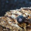 VAGNER Zombie Ball (Varianta 2026001)