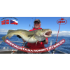 PNG VELKÝ BANNER