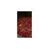 Nikl CSL Mixer Devill Krill 500ml (Varianta Nikl CSL Mixer Devill Krill 500ml)