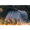 Bivak JRC Rova Camo Peak 2 man
