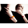 pic naramok ZESArmbaender Model