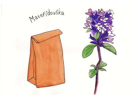 Mateřídouška sušená