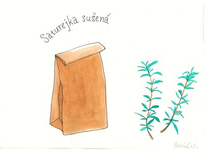 Saturejka sušená